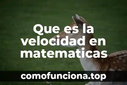 Qué es velocidad angular de un sistema mecánico concepto 6 Que es la velocidad en matematicas