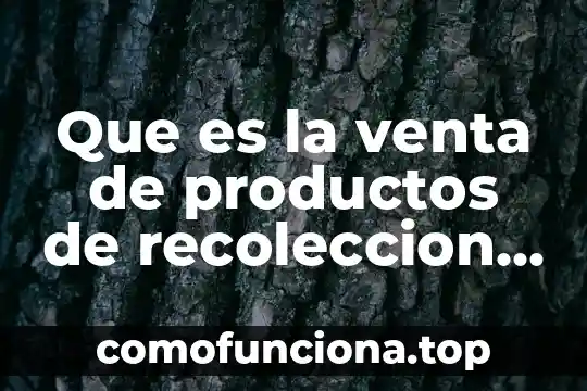 Que es procedimiento de recoleccion diseño del experimento 6 Que es la venta de productos de recoleccion de basura