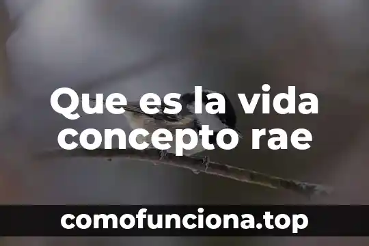 Que es una pija segun la rae 4 Que es la vida concepto rae