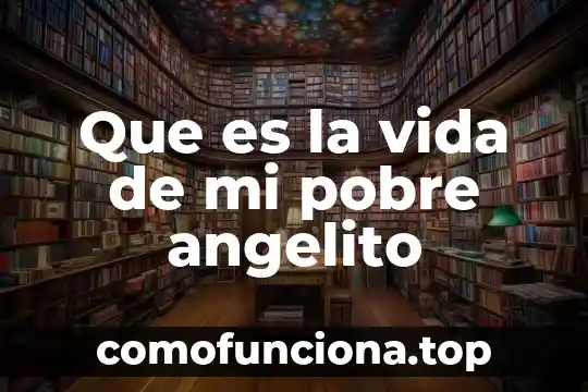 Que es lo que influye a ser pobre 3 Que es la vida de mi pobre angelito