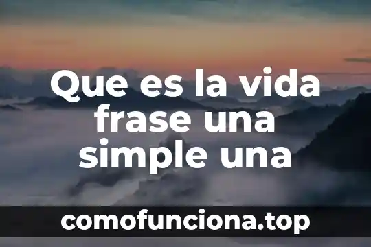 Qué es esperanza de vida definición 3 Que es la vida frase una simple una