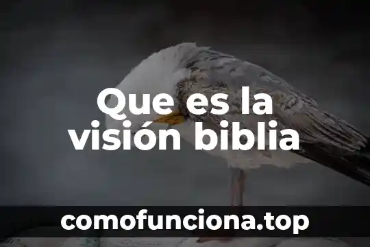 Que es mision vision objetivos diagnostico 8 Que es la visión biblia
