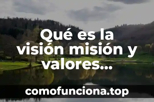 Que es un formato de datos personales 4 Qué es la visión misión y valores personales