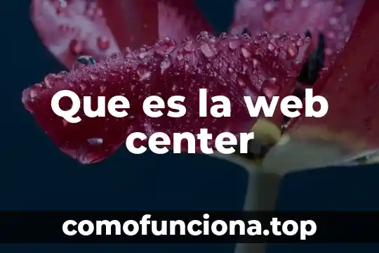 Web que es infantil nombre 4 Que es la web center