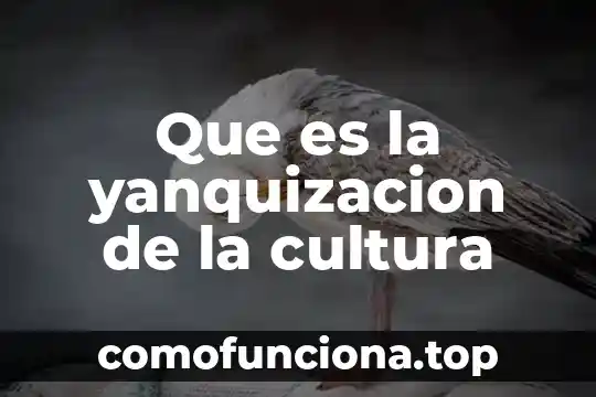 Que es cultura de organizacion 8 Que es la yanquizacion de la cultura