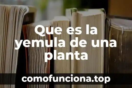 Que es linea de sistema amigo o planta difario 6 Que es la yemula de una planta