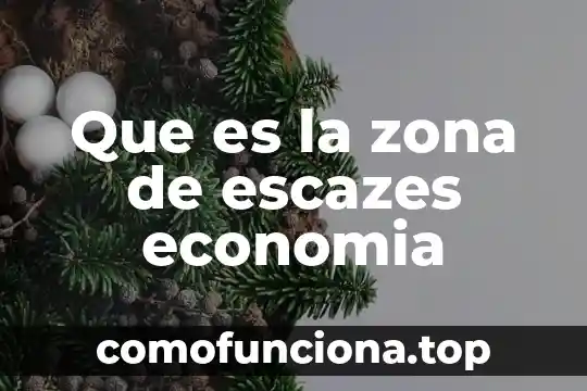 Qué es connotación en economía 8 Que es la zona de escazes economia
