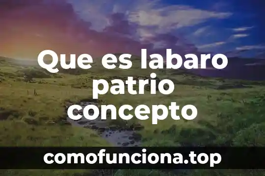 Qué es la respiración concepto 3 Que es labaro patrio concepto