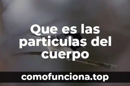 Que es cuerpo geometrico simples 6 Que es las particulas del cuerpo