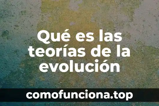 Que es evolucion concepto 3 Qué es las teorías de la evolución