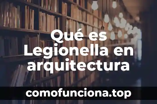 Que es funcion en arquitectura 4 Qué es Legionella en arquitectura
