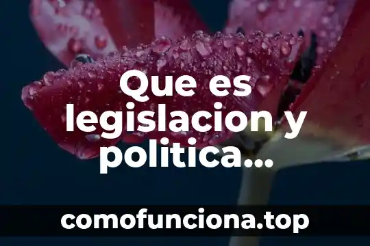 Que es una licenciatura educativa 3 Que es legislacion y politica educativa