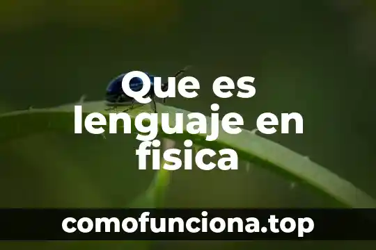Que es cultura fisica o educacion fisica 8 Que es lenguaje en fisica
