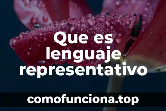 Que es ser policia representativo en niños 4 Que es lenguaje representativo