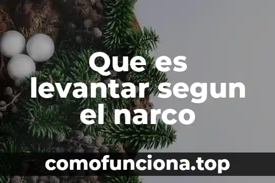 Que es el aprendizaje motor redalyc 3 Que es levantar segun el narco