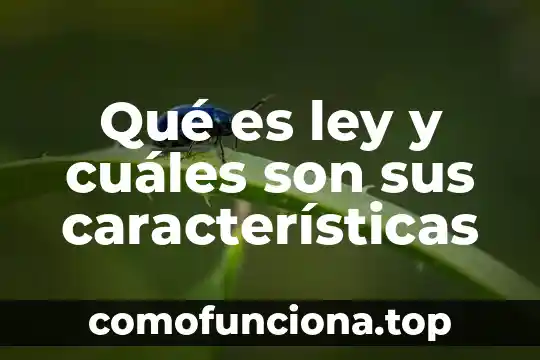 Que es leyendas son mas populares de mexico 8 Qué es ley y cuáles son sus características