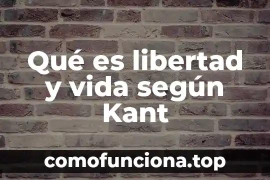 Que es un principe de libertad segun kant 6 Qué es libertad y vida según Kant