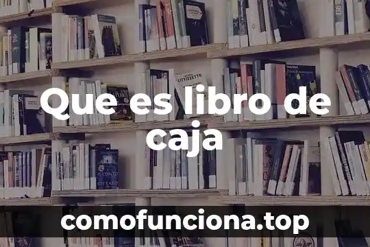 Que es la caja negra en teoria de sistemas 4 Que es libro de caja