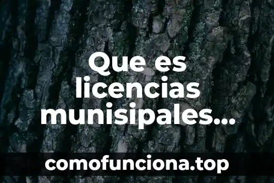 Actividad práctica que es un robot 7 Que es licencias munisipales licencia de actividad