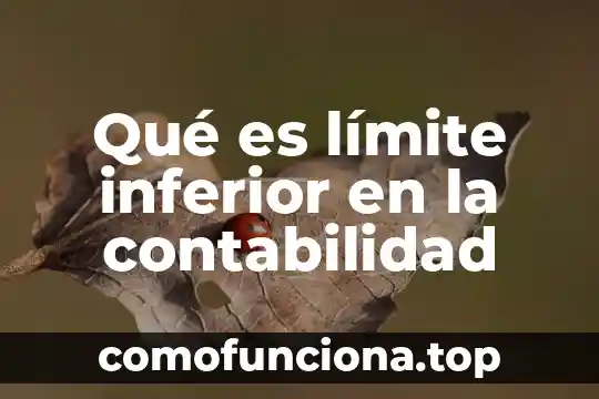 Que es lo mas dificil de contabilidad 7 Qué es límite inferior en la contabilidad