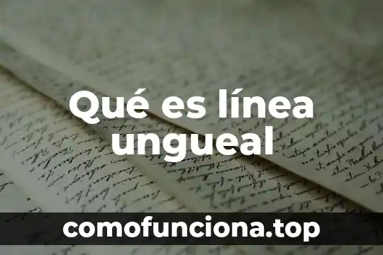 Que es la linea ofensiva en el tocho bandera 3 Qué es línea ungueal