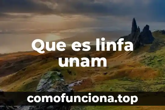 Juridico unam que es la justicia kelsen 5 Que es linfa unam