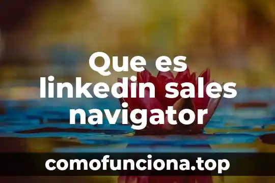 Que es un fertilizante con sales 3 Que es linkedin sales navigator