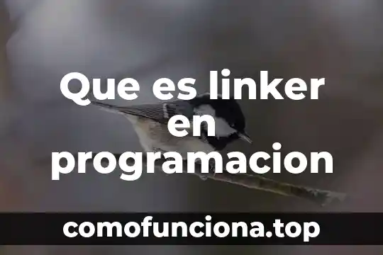 Que es filosofía organizacional mundial 7 Que es linker en programacion