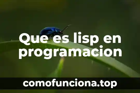 Que es un pie de casa en arquitectura 5 Que es lisp en programacion