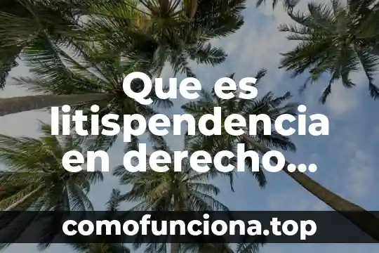 Que es aluvion en materia civil 7 Que es litispendencia en derecho procesal civil