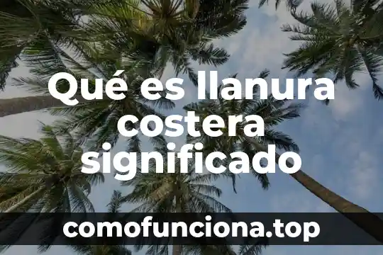 Qué es un significado artístico 7 Qué es llanura costera significado