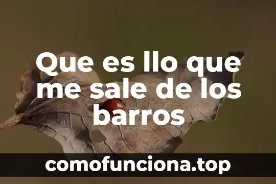 Que es un fuego y por que sale 4 Que es llo que me sale de los barros