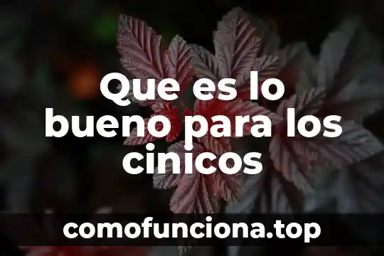Por que es bueno hacer tesis 4 Que es lo bueno para los cinicos
