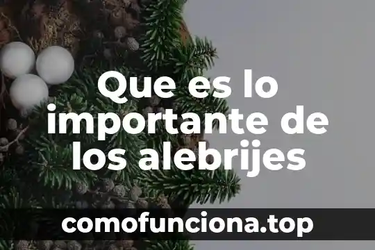 Por que es importante ser un pais innovador 3 Que es lo importante de los alebrijes