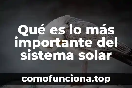 Por que es importante e apendizaje en el ser 6 Qué es lo más importante del sistema solar