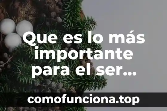 Que es ser puberta 6 Que es lo más importante para el ser humano
