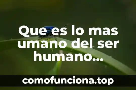 Que es lo que hizo benito juarez para ser importante 5 Que es lo mas umano del ser humano alejandro