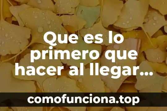 Que es la suma para niños de primero de primaria 4 Que es lo primero que hacer al llegar al aeropuerto
