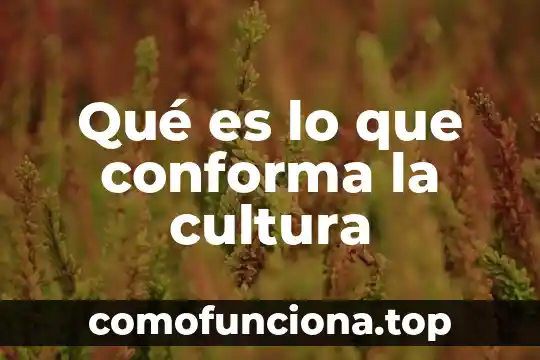 Que es susceptible de ser oído crucigrama 8 Qué es lo que conforma la cultura