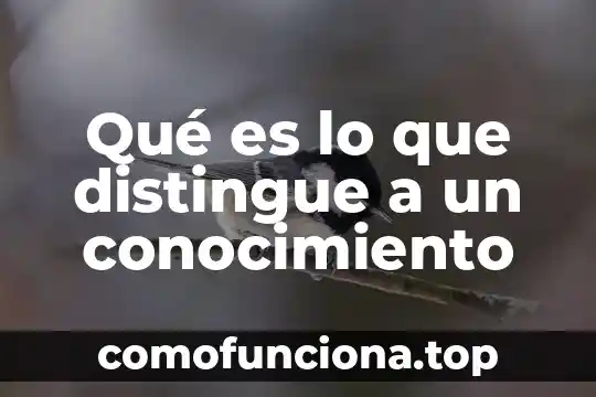 Que es pleno conocimiento 3 Qué es lo que distingue a un conocimiento