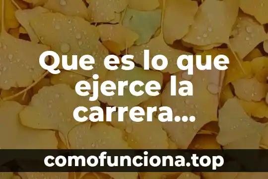 ¿Qué es mejor ingeniería informática o sistemas computacionales? 8 Que es lo que ejerce la carrera sistemas computacionales