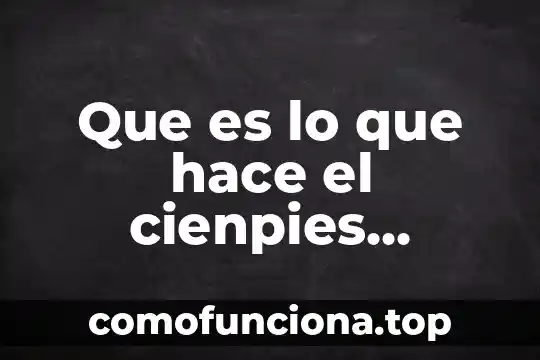 Que es el significado de la quema del mal humor 6 Que es lo que hace el cienpies quema