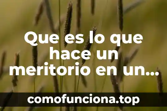 Que es juzgado de justicia familiar en mexico 4 Que es lo que hace un meritorio en un juzgado