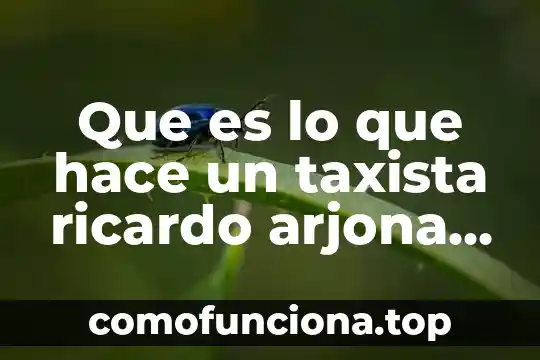 Que es considerado significado 4 Que es lo que hace un taxista ricardo arjona letra