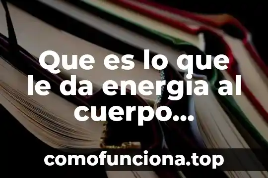 Qué es el ser humano para niños 4 Que es lo que le da energia al cuerpo humano