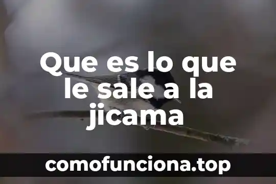 Qué es el emblema que sale al final de avenger 5 Que es lo que le sale a la jicama
