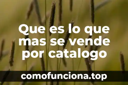 Catalogo de cuentas de una empresa industrial que es 5 Que es lo que mas se vende por catalogo