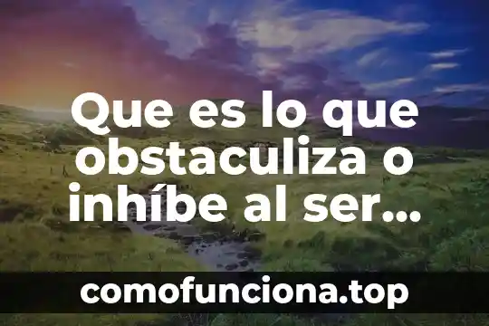 Que es una sociedad de responsabilidad limitada ooo en rusia 3 Que es lo que obstaculiza o inhíbe al ser responsabilidad