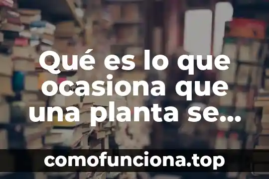 Que es lo que ocasiona que los objetos cernak 6 Qué es lo que ocasiona que una planta se cierre