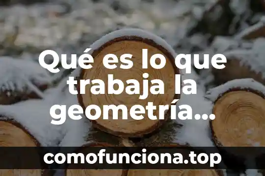Que es razonamiento visual y espacial 5 Qué es lo que trabaja la geometría espacial